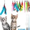 Merkloos 2 Kattenhengels Met 10 Speeltjes – Bewegende Kattenspeeltjes Met Veren En Belletjes – Interactieve Kattenspeelgoed Voor Kittens – Cat Toys 1 Merkloos 2 Kattenhengels Met 10 Speeltjes – Bewegende Kattenspeeltjes Met Veren En Belletjes – Interactieve Kattenspeelgoed Voor Kittens – Cat Toys -Kattenspeelgoed Winkel 1015x1200