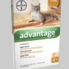 Advantage 40 Vlooiendruppels Kat Tot 4 Kg - 4 Pipetten -Kattenspeelgoed Winkel 1034x1200