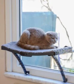 Hobipets - Kattenmand Raam - 5 Zuignappen - Hangmat Kat Raam -Kattenspeelgoed Winkel 1049x1200 3