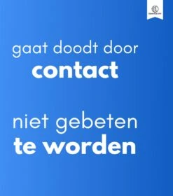 Essential Link Teken- En Vlooienband - Vlooienband Kat – Anti Vlooien – Vlooienmiddel - Tekenband - Diervriendelijk -Kattenspeelgoed Winkel 1058x1200