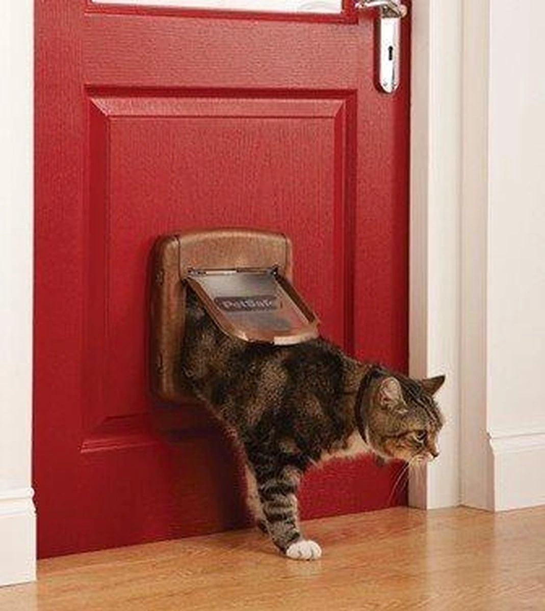 Petsafe Kattenluik 400 - Wit 8 Petsafe Kattenluik 400 - Wit - Afbeelding 6