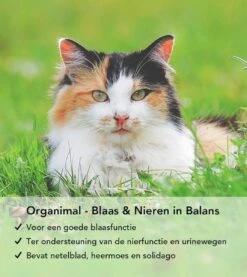 Organimal - Blaas En Nieren In Balans - Kat - O.a. Bij Blaasontsteking En Blaasgruis - 45 Tabletten A 700mg 7 Organimal - Blaas En Nieren In Balans - Kat - O.a. Bij Blaasontsteking En Blaasgruis - 45 Tabletten A 700mg -Kattenspeelgoed Winkel 1071x1200