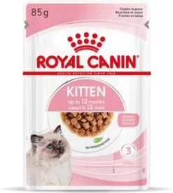 Royal Canin Wet Kitten (12X85 GR) -Kattenspeelgoed Winkel 1079x1200