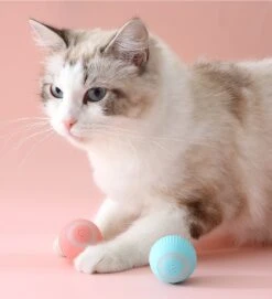 Merkloos EYSS Slimme Bal / Huisdier Speelgoedbal / Kattenspeeltje / Zelfrollende Kattenbal / Smart Rollende Bal / Oplaadbare Speeltje Voor Poesjes /Katten -Kattenspeelgoed Winkel 1092x1200