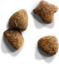 Iams Cat Senior - Kip - 3 Kg 8 Iams Cat Senior - Kip - 3 Kg -Kattenspeelgoed Winkel 1102x1200