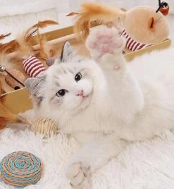 GIZMO Luxe Kattenspeeltjes Set - 7 Speeltjes - Interactieve Kattenhengel, Kattenspeelgoed & Speelmuisjes - Kitten Speeltjes -Kattenspeelgoed Winkel 1108x1200 1