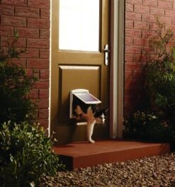 Petsafe 700 Kattenluik - S - Wit - 18.5 X 15.8 Cm -Kattenspeelgoed Winkel 1122x1200 3