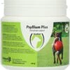 Excellent Psyllium Plus Hond - Ter Ondersteuning Bij Dunne Of Vastzittende Ontlasting Of Voor Het Stimuleren Van De Darmen - Geschikt Voor Honden - 100 Gram 1 Excellent Psyllium Plus Hond - Ter Ondersteuning Bij Dunne Of Vastzittende Ontlasting Of Voor Het Stimuleren Van De Darmen - Geschikt Voor Honden - 100 Gram -Kattenspeelgoed Winkel 1137x1200