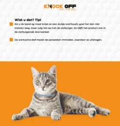 Knock Off Vlooien-tekenband – 100% Natuurlijke Vlooienbestrijding - Zonder Schadelijke Pesticiden Of Gif – Effectief Tot 4 Maanden – Nederlands- En Franstalige Handleiding – Regen- En Waterbestendig - Geschikt Voor Katten – 35 Cm -Kattenspeelgoed Winkel 1139x1200 1