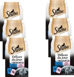 Sheba - Delices Du Jour - Katten Natvoer - In Gelei - Zalm & Tonijn - 36 X 50g -Kattenspeelgoed Winkel 1140x1200 1