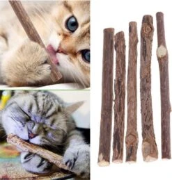 Matatabi Kauwstaafjes Voor Katten - 5x Matabi Stokjes - Kattenspeelgoed - 100% Natuurlijke Sticks - Plantaardig - Silver Vine Kauwstaven Voor Kittens - Kattenkruid Effect - Gebitsverzorging - 5 Stuks Vardaan Kauwstaven Voor Katten - XS - 11 Cm -Kattenspeelgoed Winkel 1143x1200 2