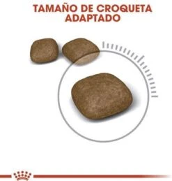 Royal Canin Urinary Care - Kattenvoer - 10 Kg -Kattenspeelgoed Winkel 1146x1200 1