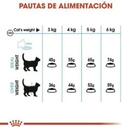 Royal Canin Urinary Care - Kattenvoer - 10 Kg -Kattenspeelgoed Winkel 1146x1200 2