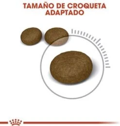 Royal Canin Hair & Skin Care - Kattenvoer - 2 Kg -Kattenspeelgoed Winkel 1146x1200 3