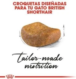 Royal Canin British Shorthair Adult - Kattenvoer - 2 Kg -Kattenspeelgoed Winkel 1146x1200 4