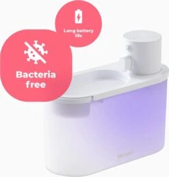 Kattenspeelgoed Winkel -Kattenspeelgoed Winkel 1150x1200