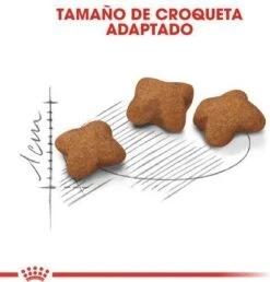 Royal Canin Kitten Sterilised - Kattenvoer - 2 Kg -Kattenspeelgoed Winkel 1151x1200 2