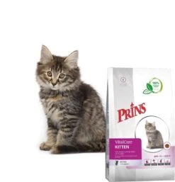 Prins VitalCare Kitten 10 Kg 12 Prins VitalCare Kitten 10 Kg -Kattenspeelgoed Winkel 1153x1200 1