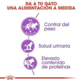 Royal Canin Sterilised 37 - Kattenvoer - 10 Kg -Kattenspeelgoed Winkel 1154x1200 2