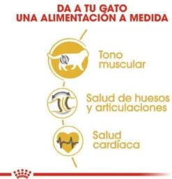 Royal Canin British Shorthair Adult - Kattenvoer - 2 Kg -Kattenspeelgoed Winkel 1154x1200 6