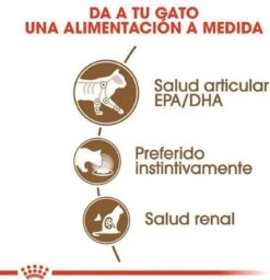 Royal Canin Wet Ageing 12+ (12X85 GR) -Kattenspeelgoed Winkel 1158x1200 2