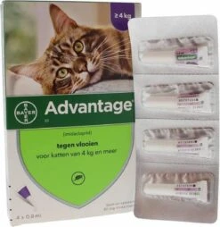 Bayer Anti Vlooienmiddel Advantage 80 > 4 Kg - 4 X 0,8 Ml -Kattenspeelgoed Winkel 1168x1200