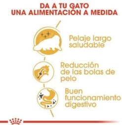 Royal Canin Persian Adult - Kattenvoer - 2 Kg -Kattenspeelgoed Winkel 1171x1200 2