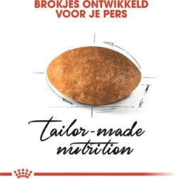 Royal Canin Persian Adult - Kattenvoer - 2 Kg -Kattenspeelgoed Winkel 1177x1200