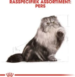 Royal Canin Persian Adult - Kattenvoer - 2 Kg -Kattenspeelgoed Winkel 1178x1200