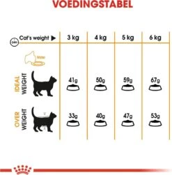 Royal Canin Hair & Skin Care - Kattenvoer - 2 Kg -Kattenspeelgoed Winkel 1179x1200 12