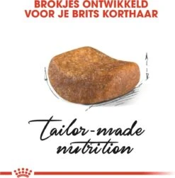 Royal Canin British Shorthair Adult - Kattenvoer - 2 Kg -Kattenspeelgoed Winkel 1179x1200 14