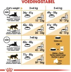 Royal Canin British Shorthair Adult - Kattenvoer - 2 Kg -Kattenspeelgoed Winkel 1179x1200 15