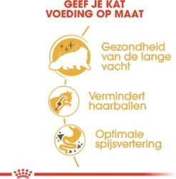 Royal Canin Persian Adult - Kattenvoer - 2 Kg -Kattenspeelgoed Winkel 1179x1200