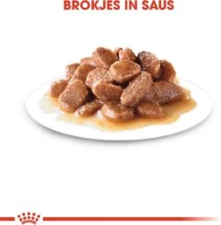 Royal Canin Wet Ageing 12+ (12X85 GR) -Kattenspeelgoed Winkel 1179x1200 6