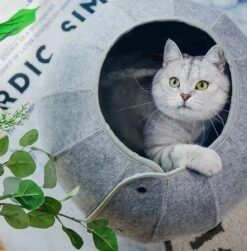 Merkloos Kattenmand Multifunctioneel – Kattenspeelgoed Speeltunnel Kattenhuis – Kattenhol Rond Kattenspeeltjes Kattentunnel - Cat Cave Donut - Grijs Vilt -Kattenspeelgoed Winkel 1183x1200 7