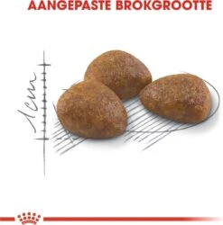 Royal Canin Outdoor 7+ - 4 Kg -Kattenspeelgoed Winkel 1184x1200 2