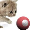 Cheerble Mini Ball 2.0 - Slimme Interactieve Zelf Rollende Bal Voor Katten - 3 Speelmodi - Kattenspeeltjes - USB Oplaadbaar - Rood 2 Cheerble Mini Ball 2.0 - Slimme Interactieve Zelf Rollende Bal Voor Katten - 3 Speelmodi - Kattenspeeltjes - USB Oplaadbaar - Rood -Kattenspeelgoed Winkel 1184x1200 6