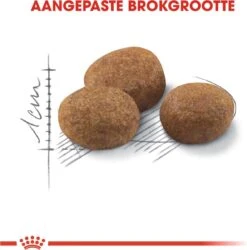 Royal Canin Sterilised 7+ - Kattenvoer - 10 Kg -Kattenspeelgoed Winkel 1185x1200 1