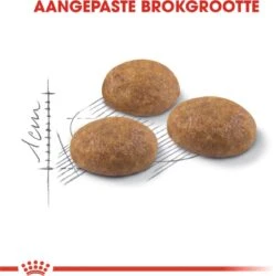 Royal Canin Outdoor - Kattenvoer - 4 Kg -Kattenspeelgoed Winkel 1186x1200 2