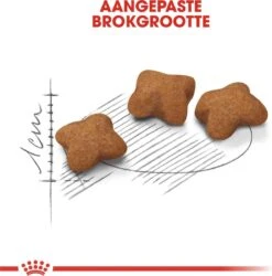 Royal Canin Kitten Sterilised - Kattenvoer - 3,5 Kg -Kattenspeelgoed Winkel 1186x1200 3