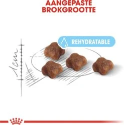 Royal Canin Mother & Babycat - Kattenvoer - 4 Kg -Kattenspeelgoed Winkel 1186x1200 5