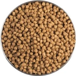 Pro Plan Veterinary Diets Feline Gastro-intestinal - Kattenvoer- 5kg -Kattenspeelgoed Winkel 1188x1200 6