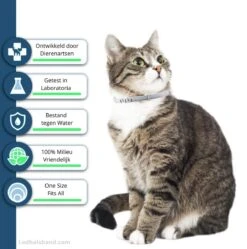 Biologische Vlooienband | Katten | Zonder Pesticiden | Vlooien En Teken | Veilig Voor Mens En Dier | Milieuvriendelijk | Kattenbandje | Geur Halsband -Kattenspeelgoed Winkel 1189x1200