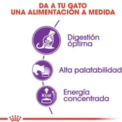 Royal Canin Sensible 33 - Kattenvoer - 2 Kg -Kattenspeelgoed Winkel 1197x1200 1