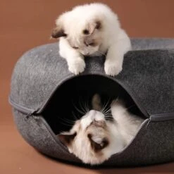 Merkloos A.K.A. Kattentunnel En Kattenmand In-1 – Kattenspeelgoed Speeltunnel Kattenhuis – Kattenhol Rond Kattenspeeltjes - Cat Cave Donut - Antraciet Vilt -Kattenspeelgoed Winkel 1198x1200 14