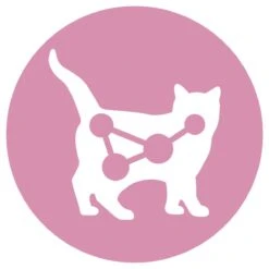 Purina ONE Junior - Kip/Granen - Kattenvoer - 800 G -Kattenspeelgoed Winkel 1199x1200 2