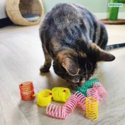 Moowi - Springveren 30 Stuks - Kat - Kattenveertjes - Kattenspeelgoed 8 Moowi - Springveren 30 Stuks - Kat - Kattenveertjes - Kattenspeelgoed -Kattenspeelgoed Winkel 1199x1200 22