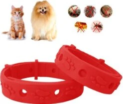 Merkloos EPIN | Vlooienband | Kat & Hond | Verstelbaar | Vlooien & Teken -Kattenspeelgoed Winkel 1200x1017