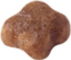 Royal Canin Mother & Babycat - Kattenvoer - 4 Kg -Kattenspeelgoed Winkel 1200x1018 1