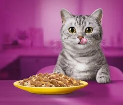 Whiskas 1+ Natvoer - Gevogelte - Selectie In Gelei - Maaltijdzakjes 80 X 85 G -Kattenspeelgoed Winkel 1200x1019 1